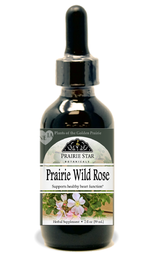 Prairie Wild Rose