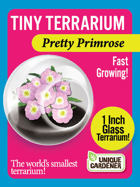 Flowering Tiny Terrariums Bundle - 1 each of 6 Varieties