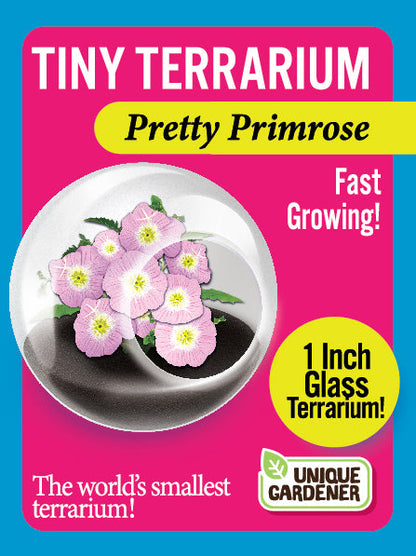 Flowering Tiny Terrariums Bundle - 1 each of 6 Varieties