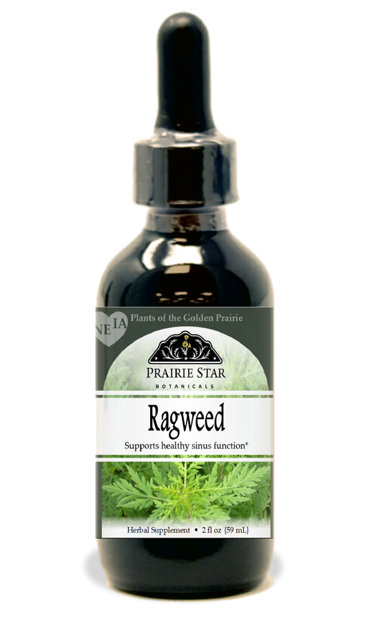 Ragweed
