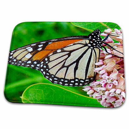 3dRose Monarch Butterfly and Milkweed by Angelandspot - Dish Drying Mats (ddm-10930)