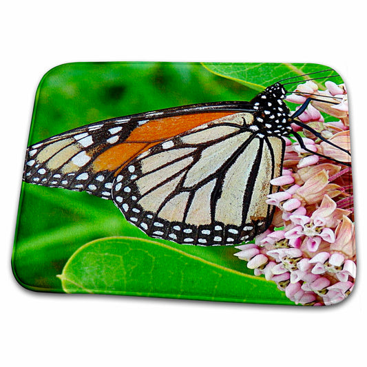3dRose Monarch Butterfly and Milkweed by Angelandspot - Dish Drying Mats (ddm-10930)