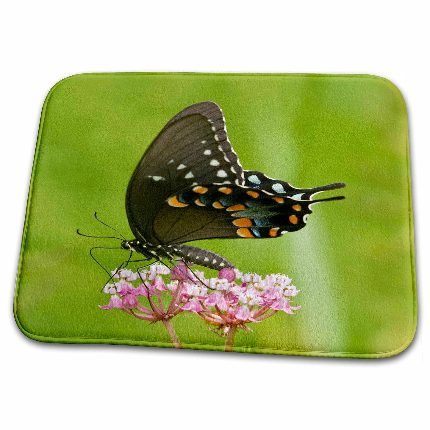 Dish Drying Mat - Spicebush Swallowtail butterfly on Swamp Milkweed, Marion Co. IL Butterflies