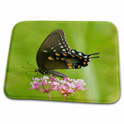 Dish Drying Mat - Spicebush Swallowtail butterfly on Swamp Milkweed, Marion Co. IL Butterflies
