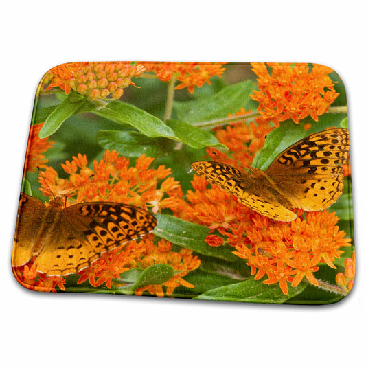 3dRose Great Spangled Fritillaries on Butterfly Milkweed - MO - Dish Drying Mats (ddm-206787)