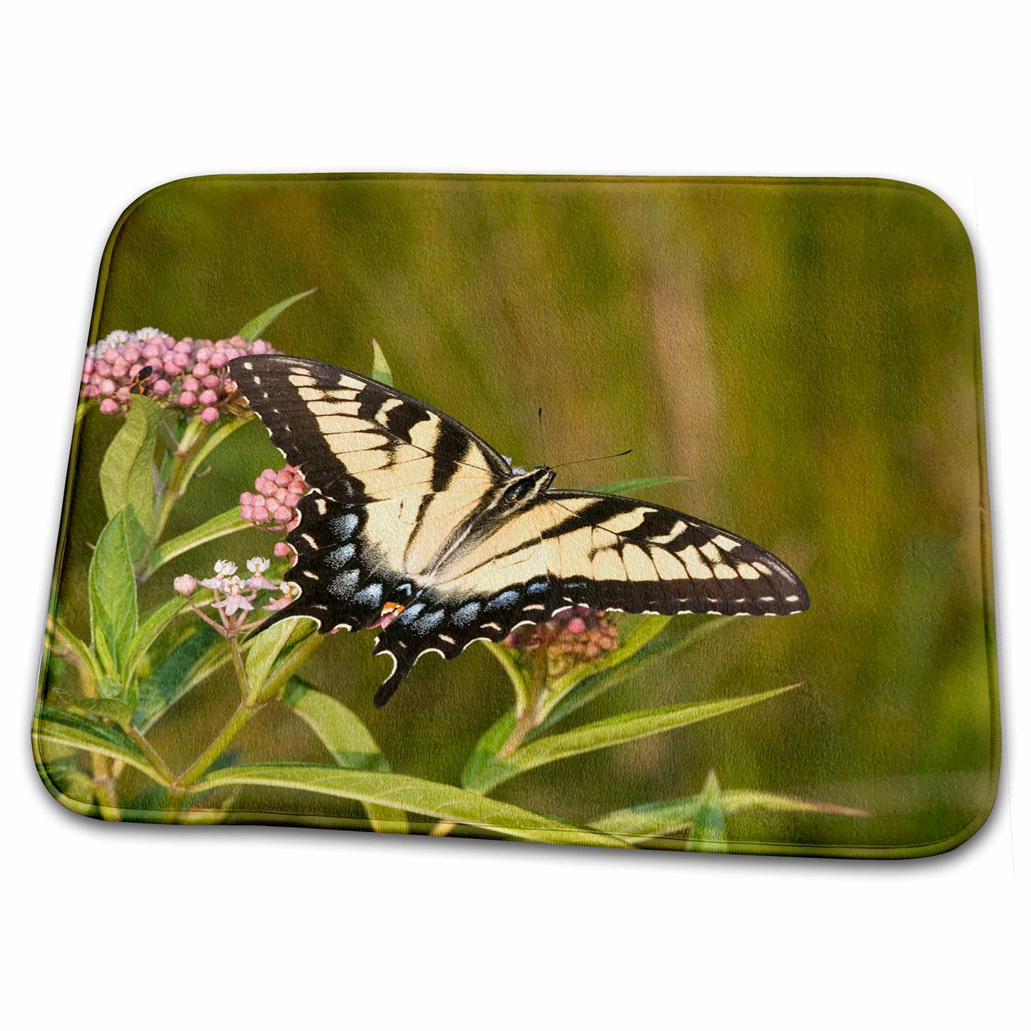 Dish Drying Mat - Eastern Tiger Swallowtail on Swamp Milkweed, Marion Co. IL Butterlies