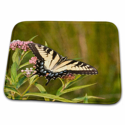 Dish Drying Mat - Eastern Tiger Swallowtail on Swamp Milkweed, Marion Co. IL Butterlies