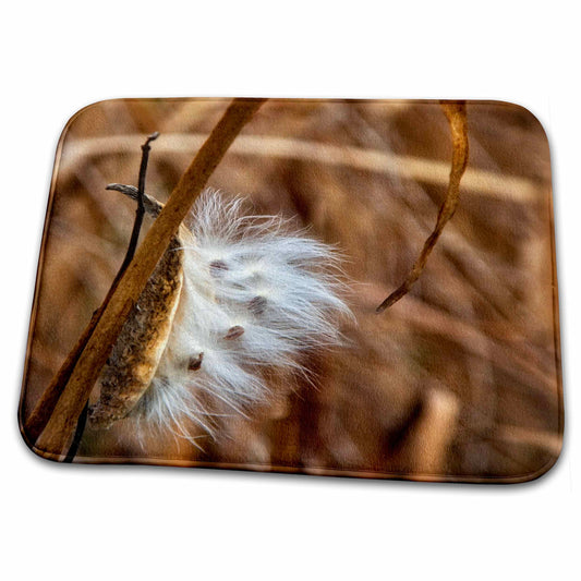 3dRose Boehm Photography Season Fall - Milkweed in Autumn - Dish Drying Mats (ddm-268055)