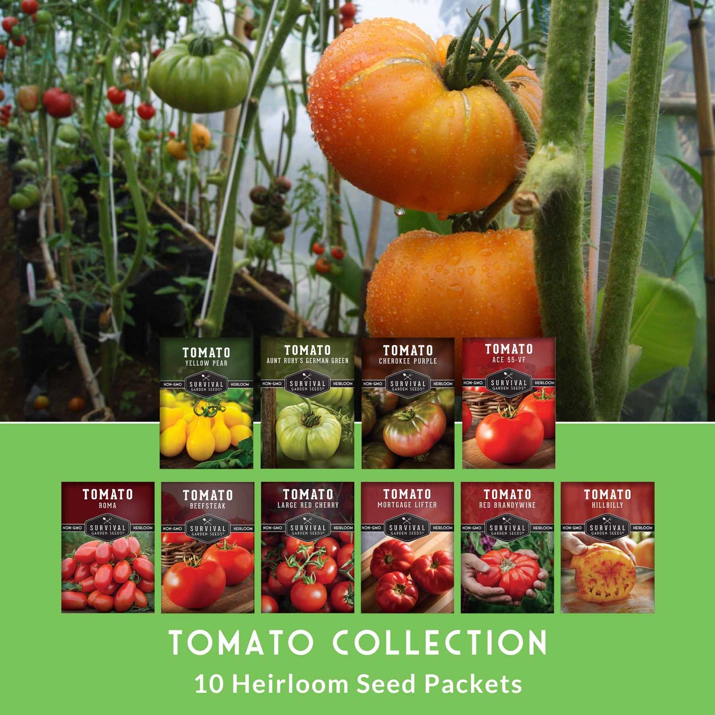 10 Tomato Seed Collection – Heirloom & Garden Favorites for Slicing, Sauces, Canning & Fresh Eating