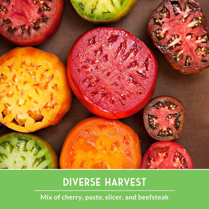 10 Tomato Seed Collection – Heirloom & Garden Favorites for Slicing, Sauces, Canning & Fresh Eating