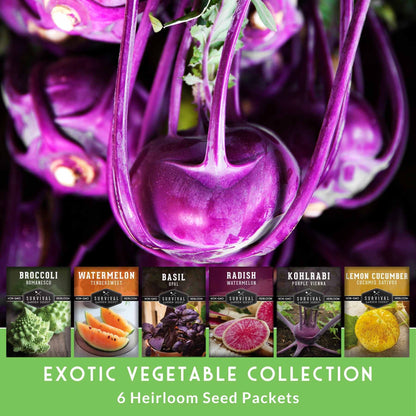 Rare Exotic Vegetable & Fruit Seeds – 6 Variety Heirloom Pack with Romanesco Broccoli, Watermelon Radish, Lemon Cucumber, and More