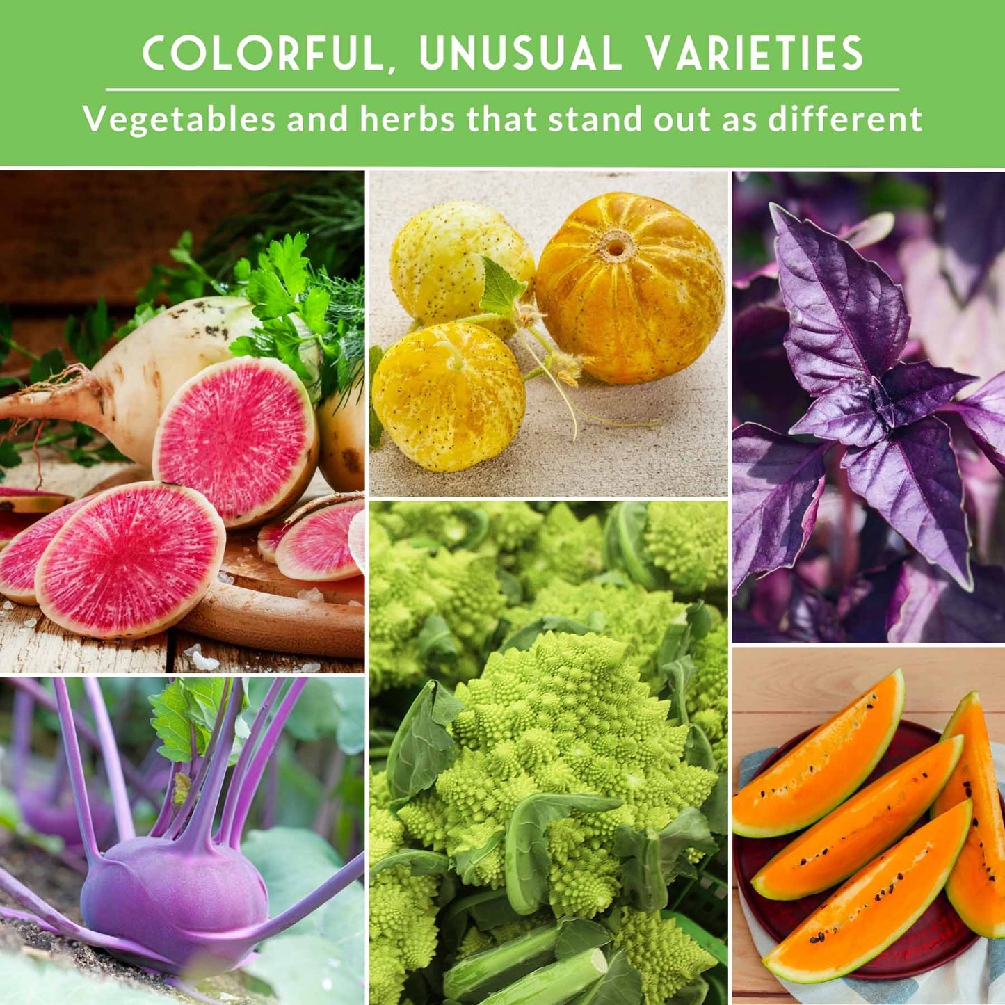 Rare Exotic Vegetable & Fruit Seeds – 6 Variety Heirloom Pack with Romanesco Broccoli, Watermelon Radish, Lemon Cucumber, and More