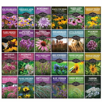 Native Habitat Seed Collection – 24 Native Wildflowers & Grasses for Pollinators, Meadows & Low-Maintenance Landscapes