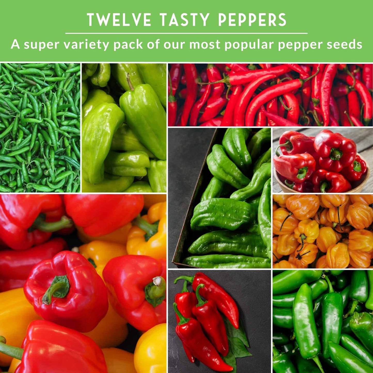 12-Variety Heirloom Pepper Seed Collection – Non-GMO Hot & Sweet Peppers for Home and Container Gardens