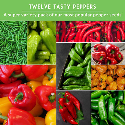 12-Variety Heirloom Pepper Seed Collection – Non-GMO Hot & Sweet Peppers for Home and Container Gardens