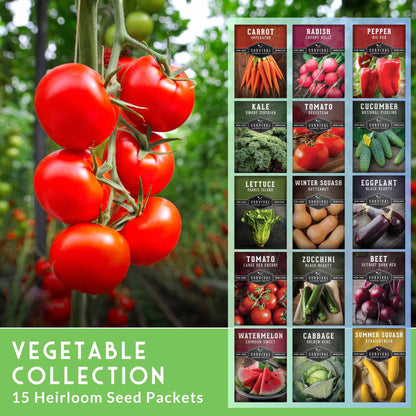 15 Variety Vegetable Garden Seed Collection – Non-GMO Heirloom Survival Seed Vault for Year-Round Growing