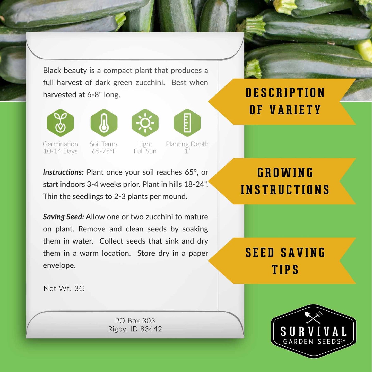 Zucchini & Summer Squash Seed Collection – Black Beauty, Round, Golden, Grey Zucchini & Straight Neck Yellow Squash