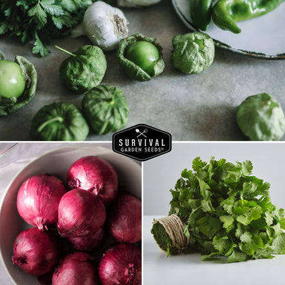 Salsa Garden Seed Collection – 5 Heirloom Non-GMO Varieties for Homemade Red & Green Salsa, Fresh Cooking & Food Preservation