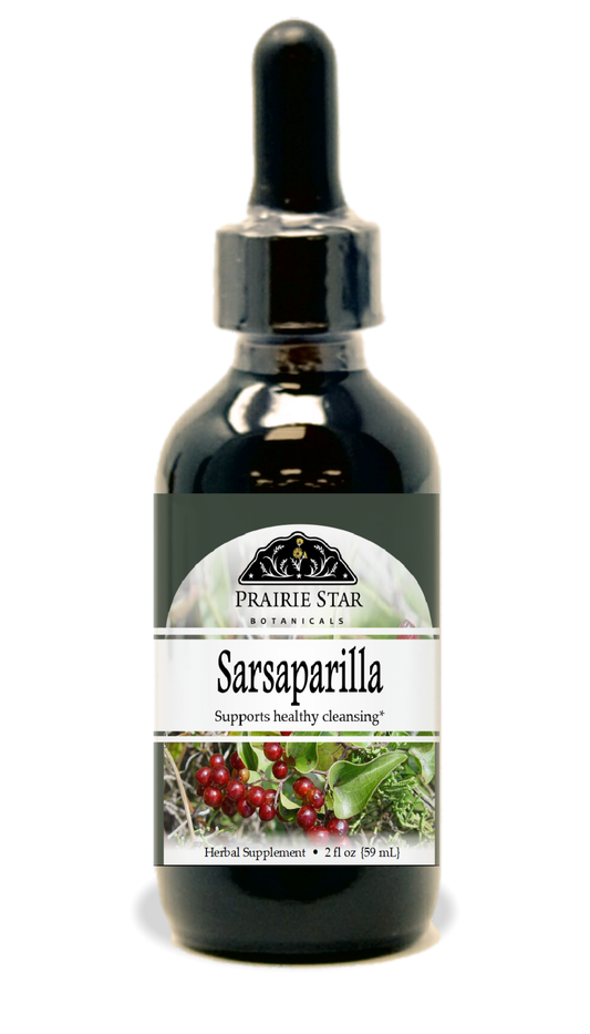 Sarsaparilla
