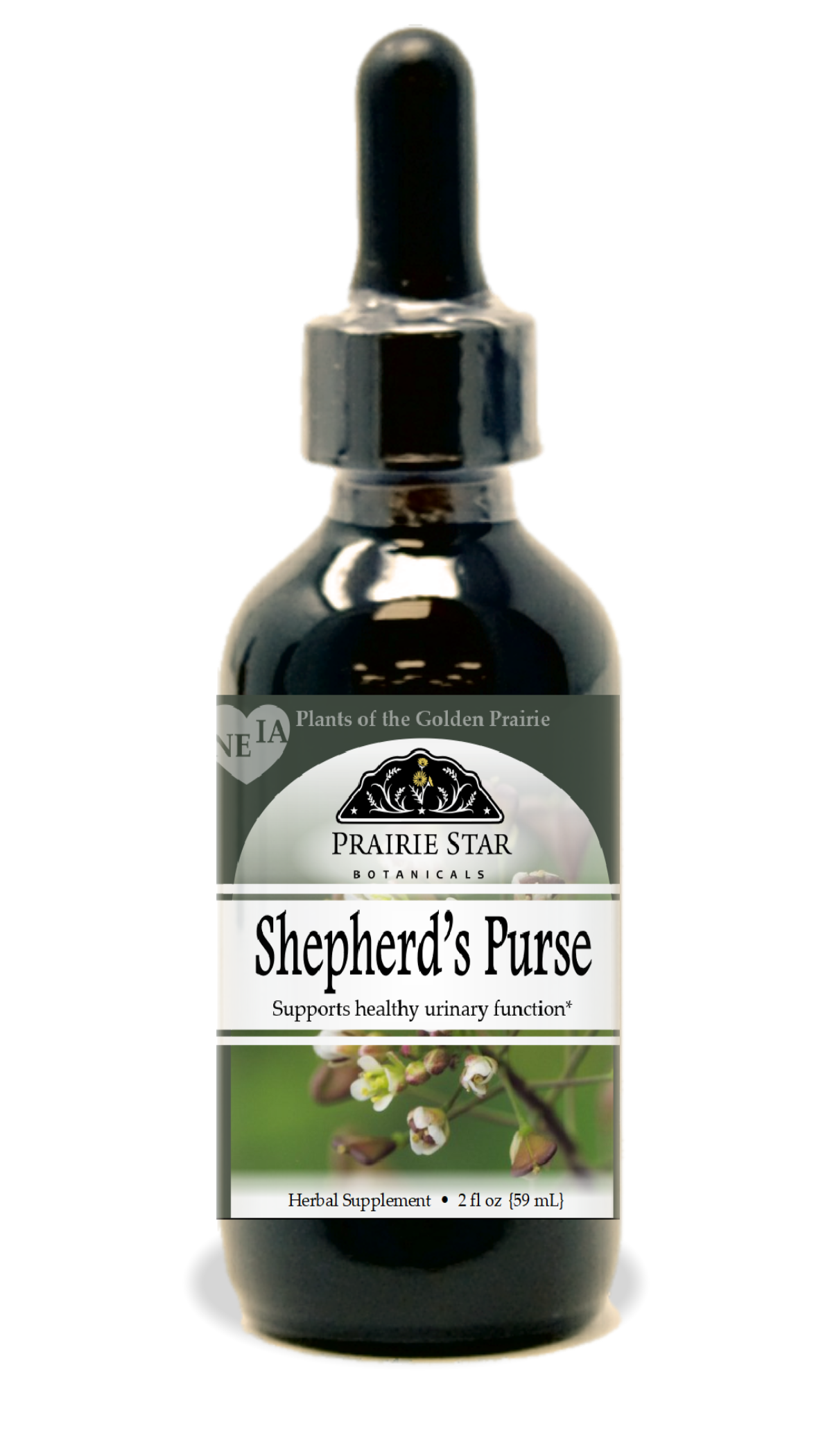 Shepherd's Purse