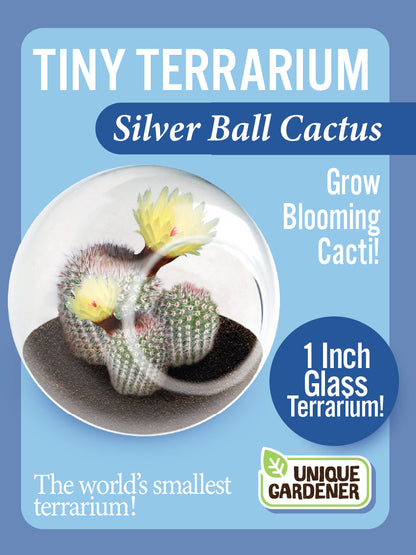 Flowering Cacti Tiny Terrariums Bundle - 2 each of 3 Varieties