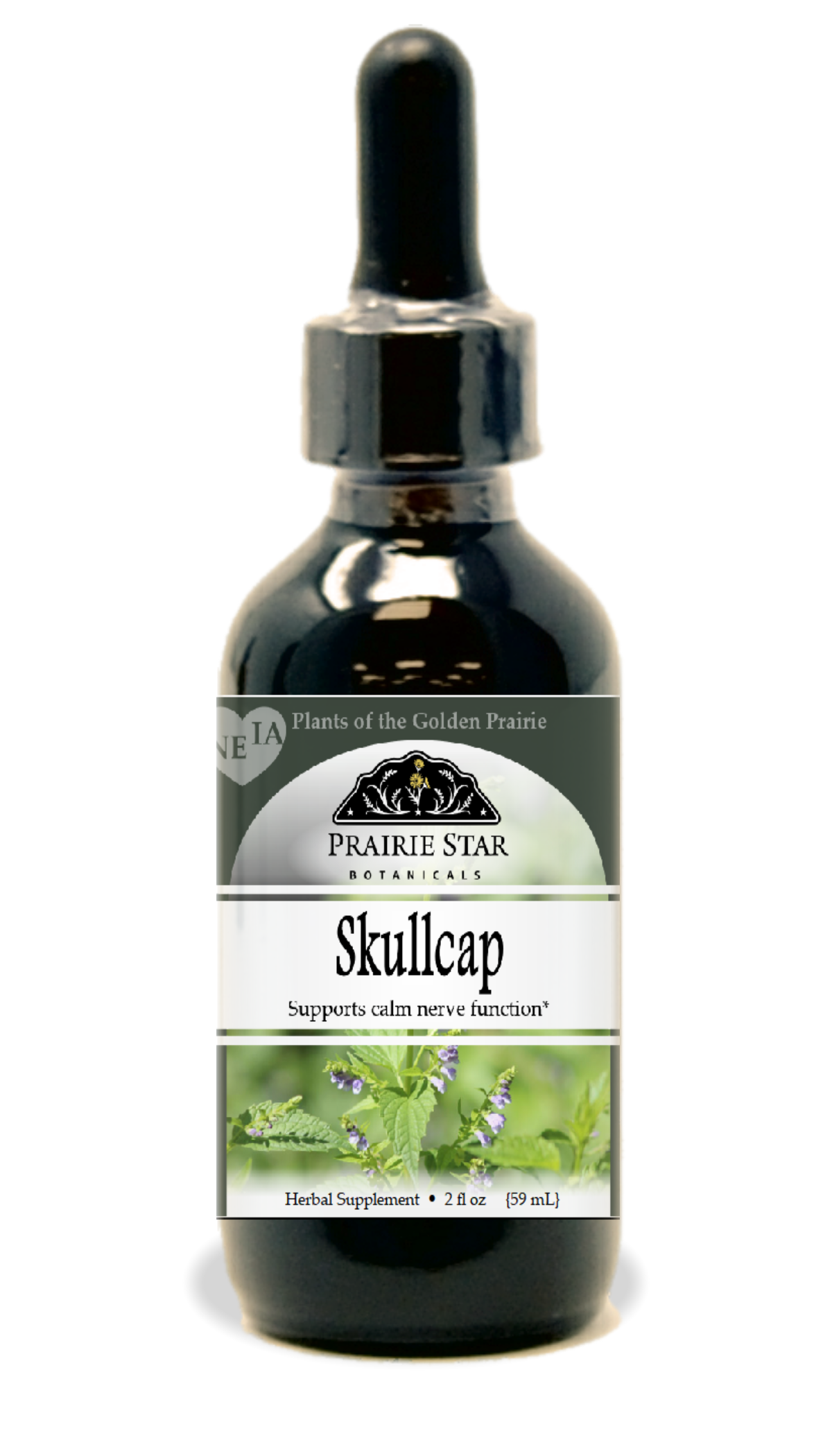 Skullcap