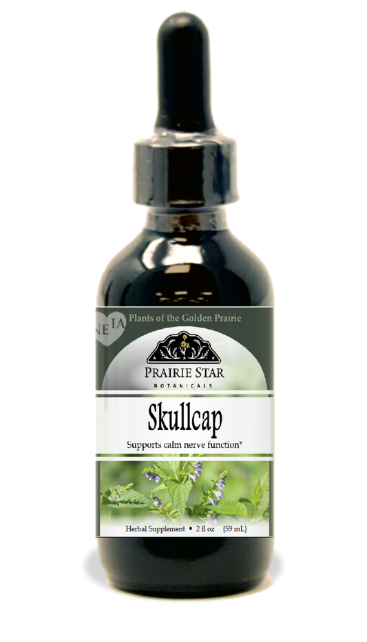 Skullcap