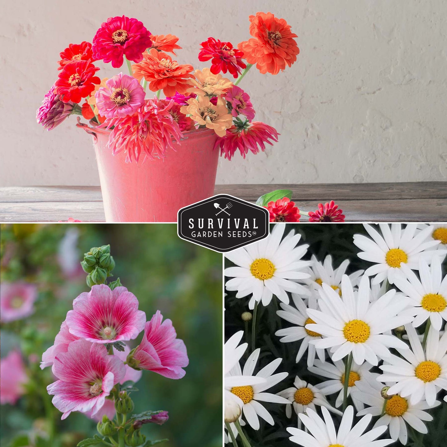 5-Variety Heirloom Flower Seed Collection – Non-GMO Annual & Perennial Blooms for Pollinator Gardens and Cut Arrangements