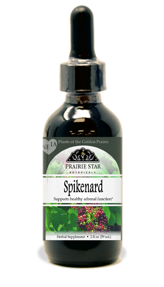 Spikenard