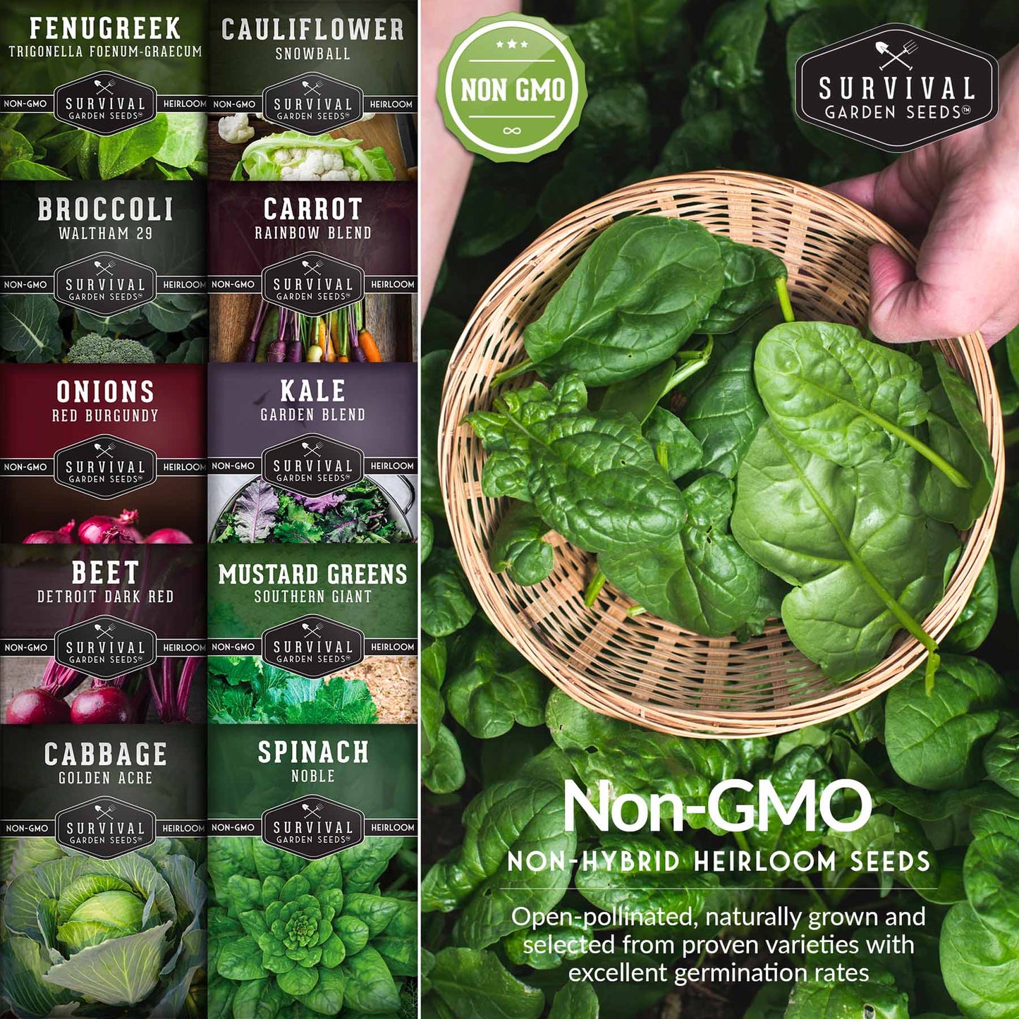 10-Variety Heirloom Spring Vegetable Seed Collection – Non-GMO Cool-Weather Crops for Early, Fall, or Indoor Gardening