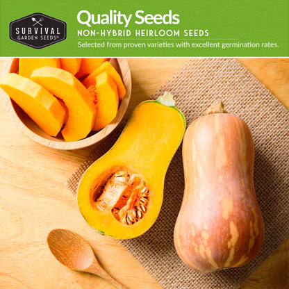 Squash Seed Collection – Zucchini, Yellow Summer, Butternut, Spaghetti & Acorn Varieties for Productive Summer and Winter Harvests