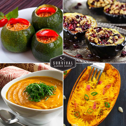 Squash Seed Collection – Zucchini, Yellow Summer, Butternut, Spaghetti & Acorn Varieties for Productive Summer and Winter Harvests