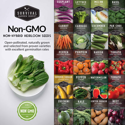 20 Variety Vegetable Garden Starter Seed Collection – Non-GMO Heirloom Kit for Beginner-Friendly Home Growing