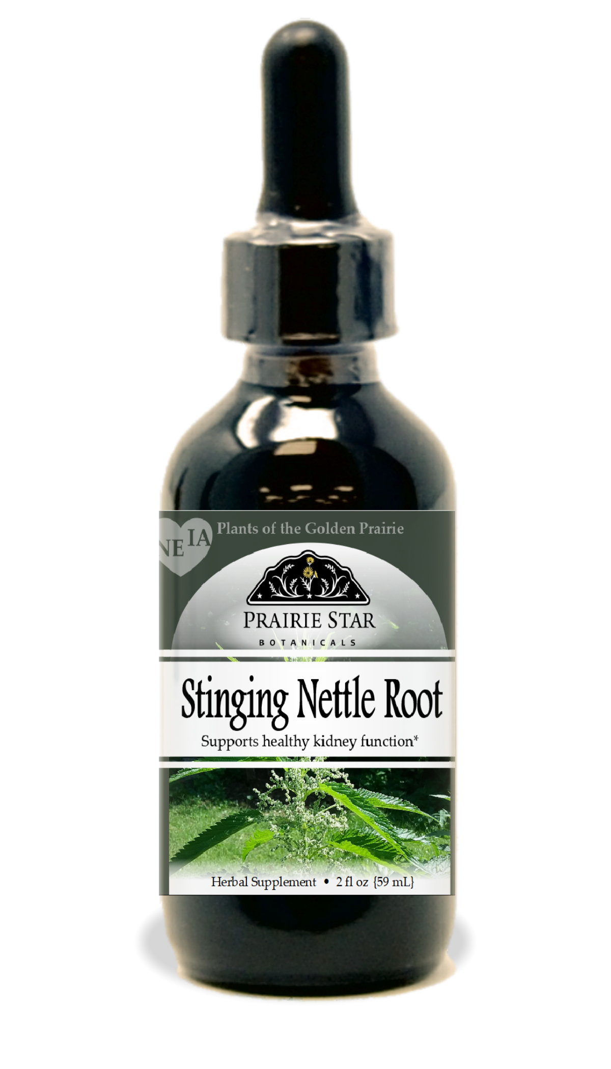 Stinging Nettle