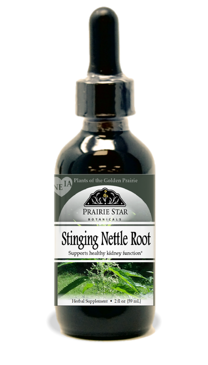 Stinging Nettle