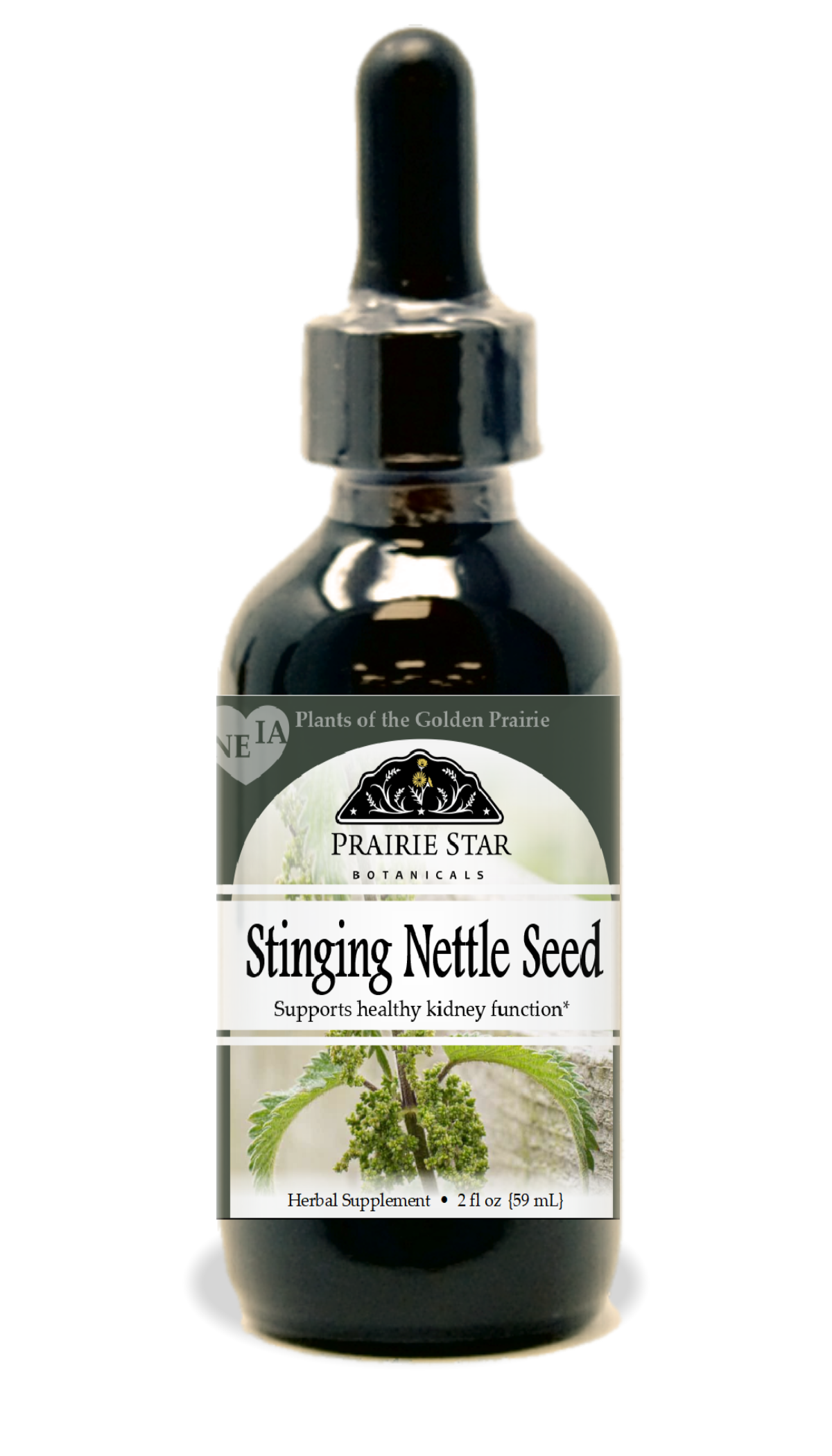 Stinging Nettle