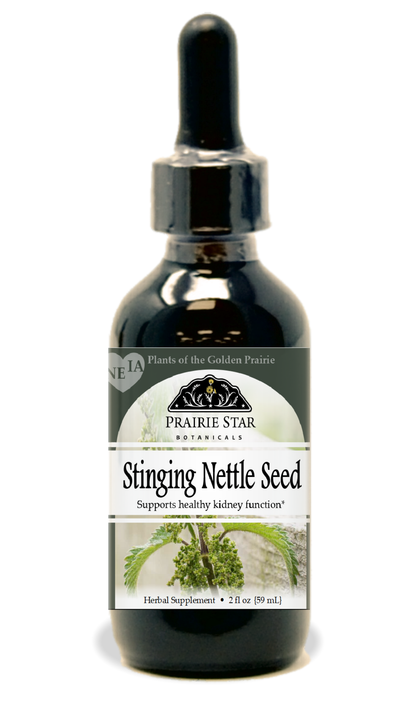 Stinging Nettle