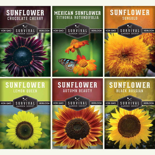 Sunflower Seed Collection – 6 Colorful, Pollinator-Friendly Varieties for Stunning Garden Displays