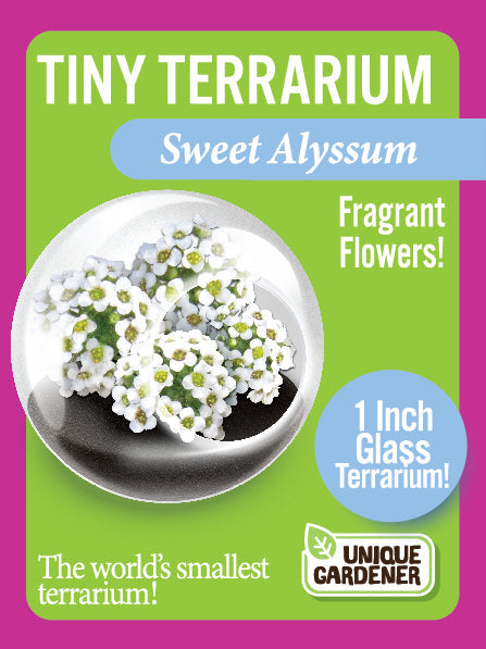 Flowering Tiny Terrariums Bundle - 1 each of 6 Varieties