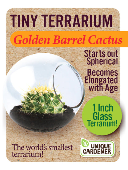 Cacti Tiny Terrariums Bundle - 1 each of 6 Varieties