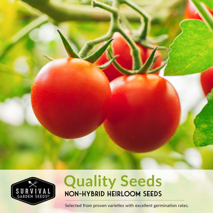 5 Tomato Seed Collection – Assorted Heirloom & Garden Favorites for Fresh Eating, Sauces & Preserving