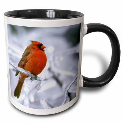3dRose Quebec. Male northern cardinal bird, ice storm-CN10 BJA0019 - Janyes... - Mugs (mug_70449)
