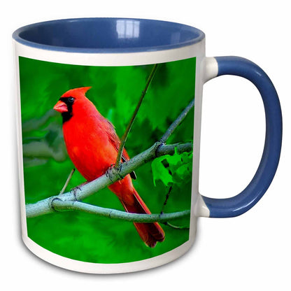 3dRose Birds - Red Cardinal - Mugs (mug_3121)