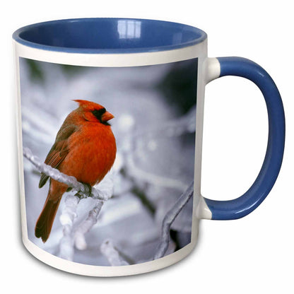 3dRose Quebec. Male northern cardinal bird, ice storm-CN10 BJA0019 - Janyes... - Mugs (mug_70449)