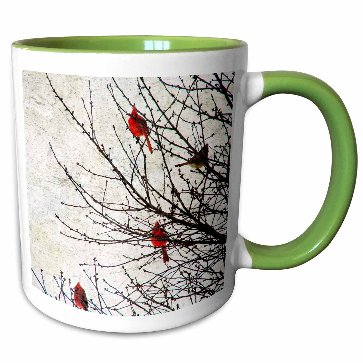 3dRose Cassie Peters Birds - Cardinals Photographed by Angelandspot - Mugs (mug_12387)