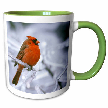 3dRose Quebec. Male northern cardinal bird, ice storm-CN10 BJA0019 - Janyes... - Mugs (mug_70449)