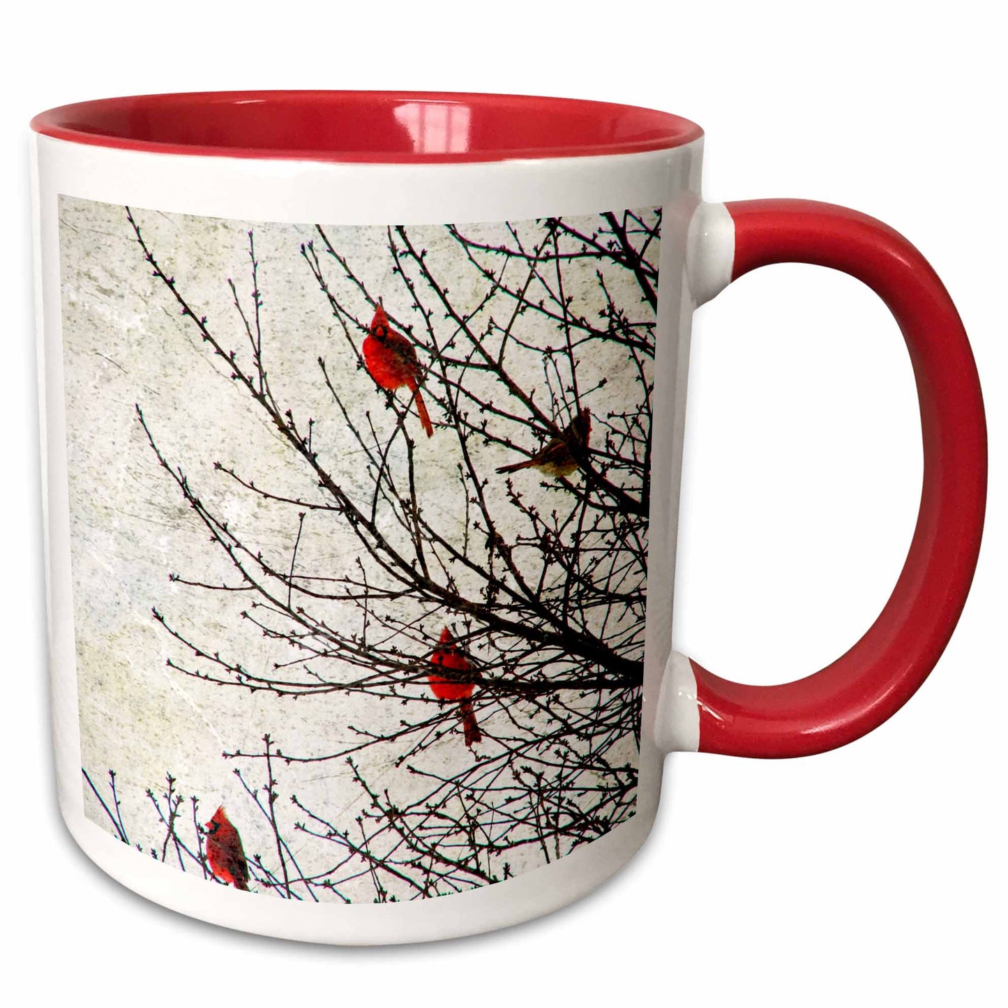 3dRose Cassie Peters Birds - Cardinals Photographed by Angelandspot - Mugs (mug_12387)