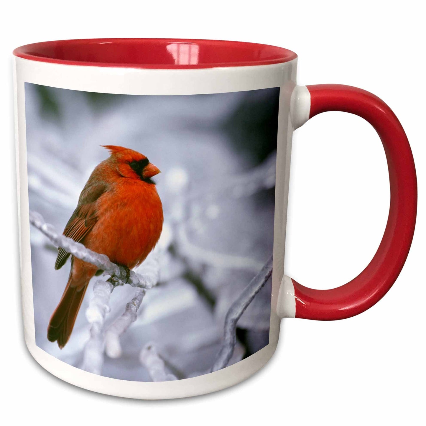 3dRose Quebec. Male northern cardinal bird, ice storm-CN10 BJA0019 - Janyes... - Mugs (mug_70449)