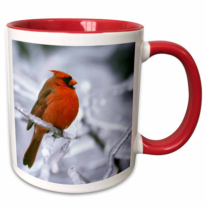 3dRose Quebec. Male northern cardinal bird, ice storm-CN10 BJA0019 - Janyes... - Mugs (mug_70449)