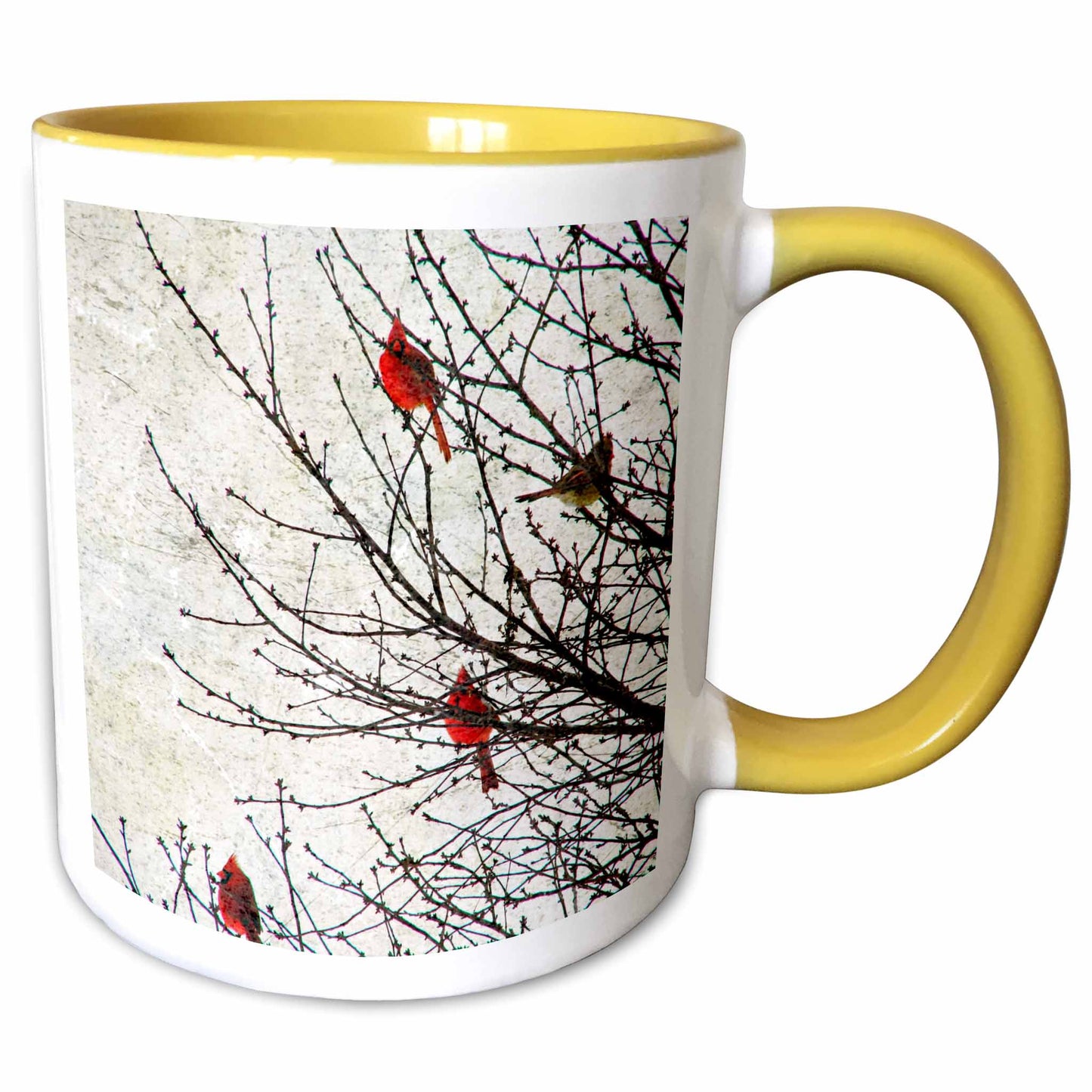 3dRose Cassie Peters Birds - Cardinals Photographed by Angelandspot - Mugs (mug_12387)